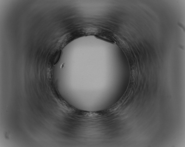 X0000091700379200709210927