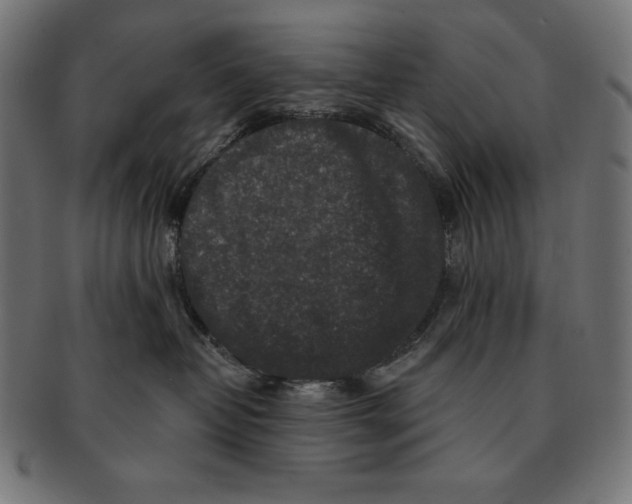 X0000091700382200709210927