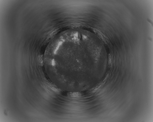 X0000091700383200709210927