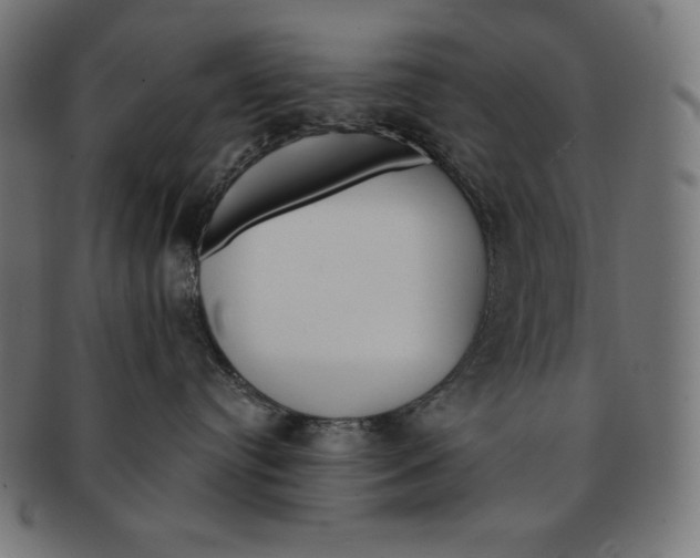 X0000091700384200709210927