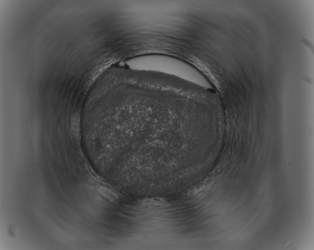 X0000091700386200709210926