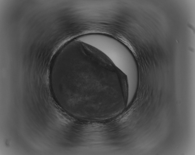 X0000091700387200709210926