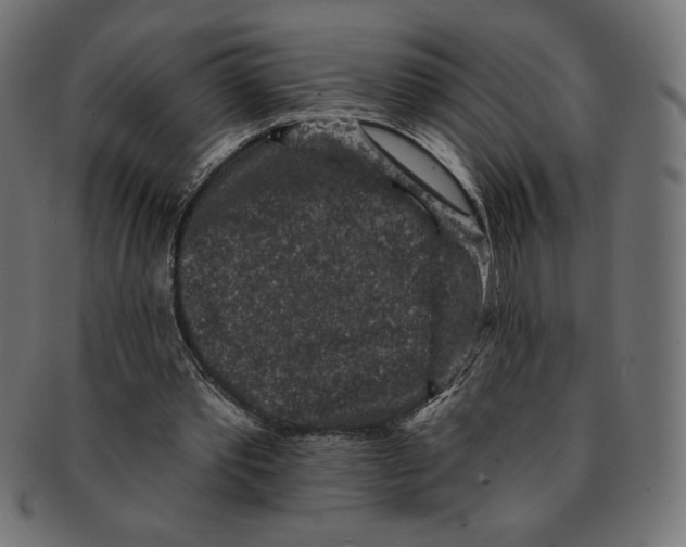 X0000091700389200709210926