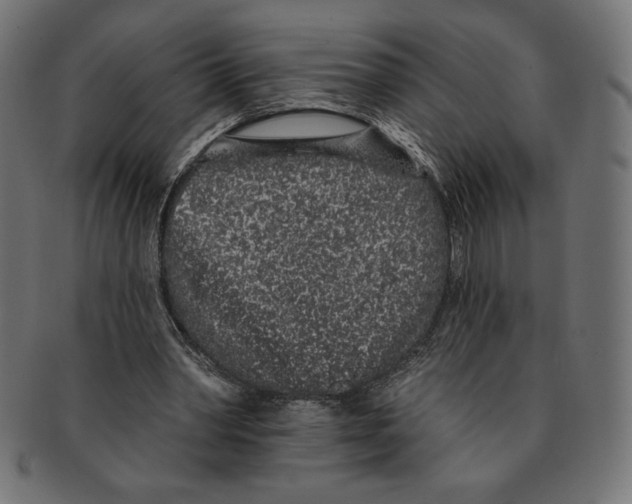 X0000091700390200709210926