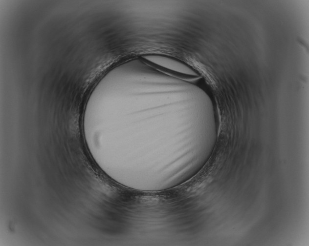 X0000091700394200709210926