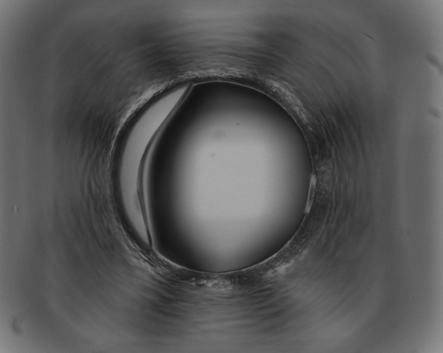 X0000091700395200709210926