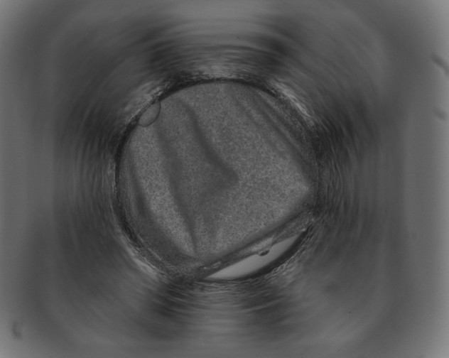 X0000091700398200709210926