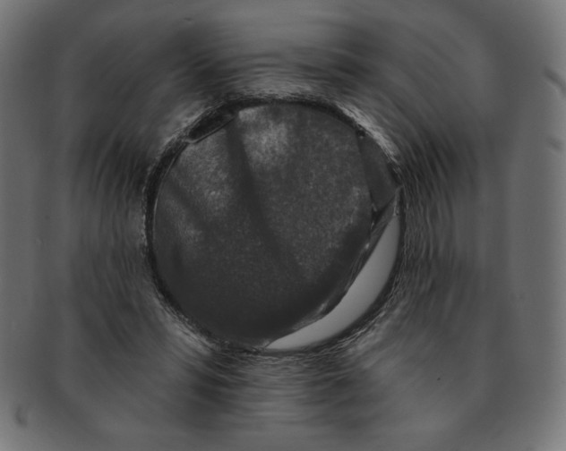 X0000091700399200709210926