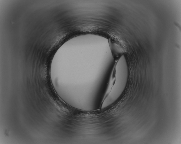 X0000091700400200709210926