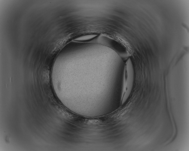 X0000091700401200709210926