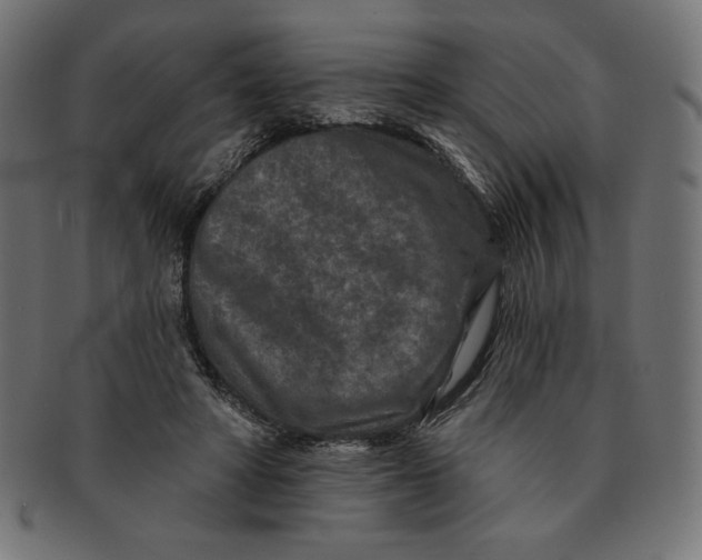 X0000091700402200709210926