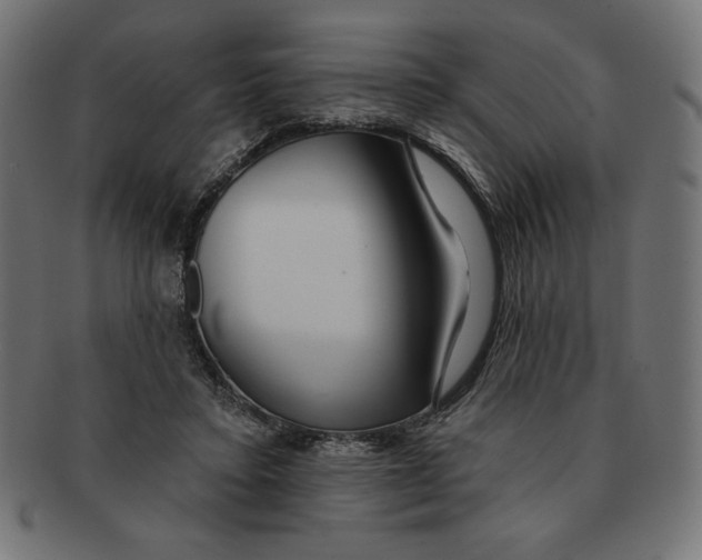 X0000091700403200709210926