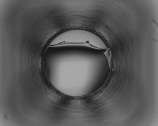 X0000091700404200709210926