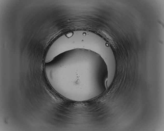 X0000091700405200709210926