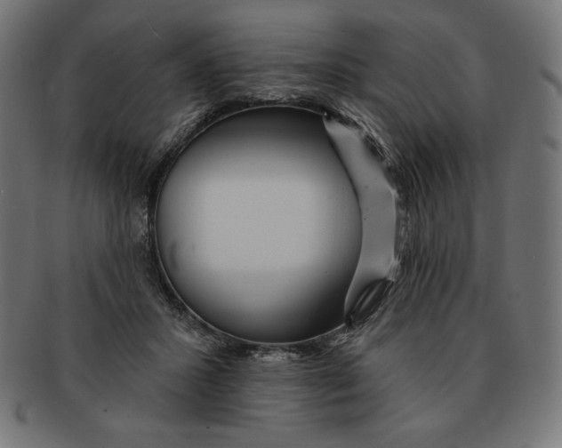 X0000091700407200709210926