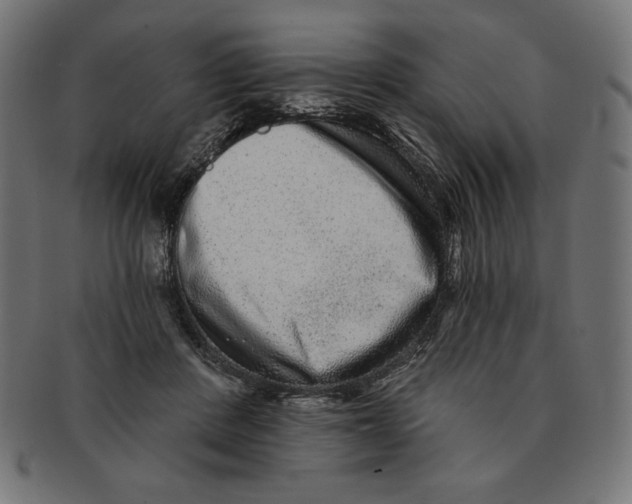 X0000091700408200709210926