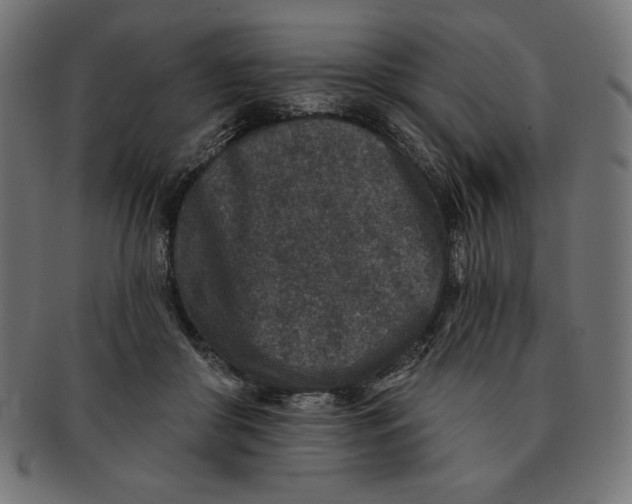 X0000091700410200709210926