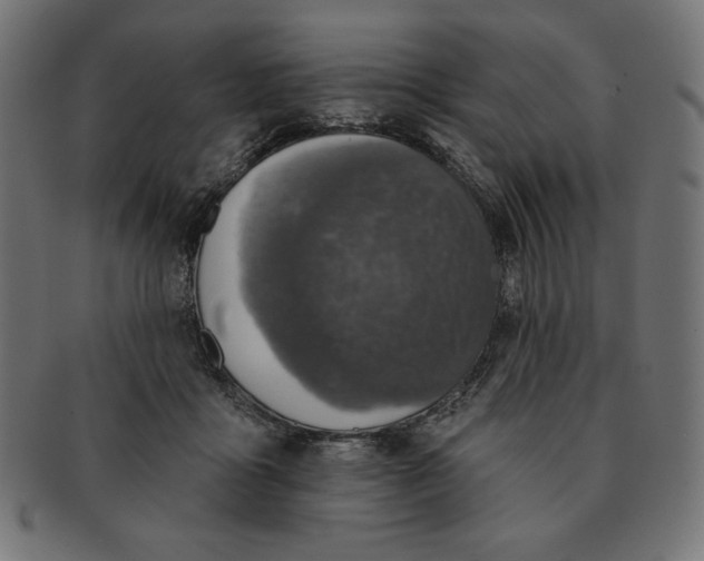 X0000091700411200709210926