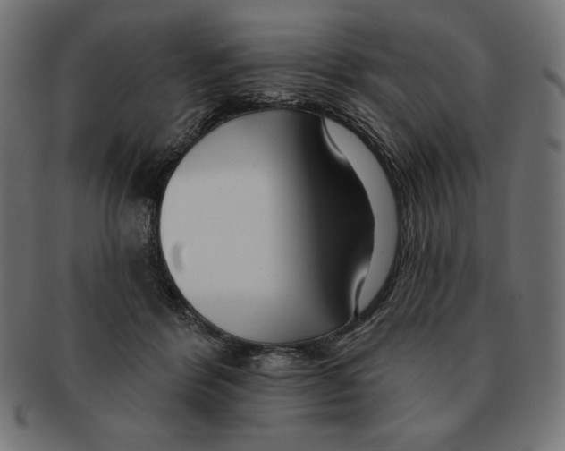 X0000091700412200709210926