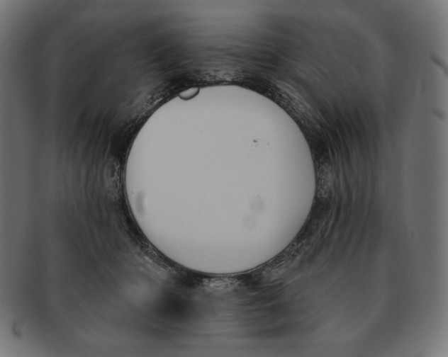 X0000091700414200709210926