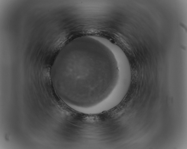 X0000091700415200709210926