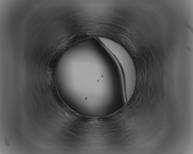 X0000091700416200709210926