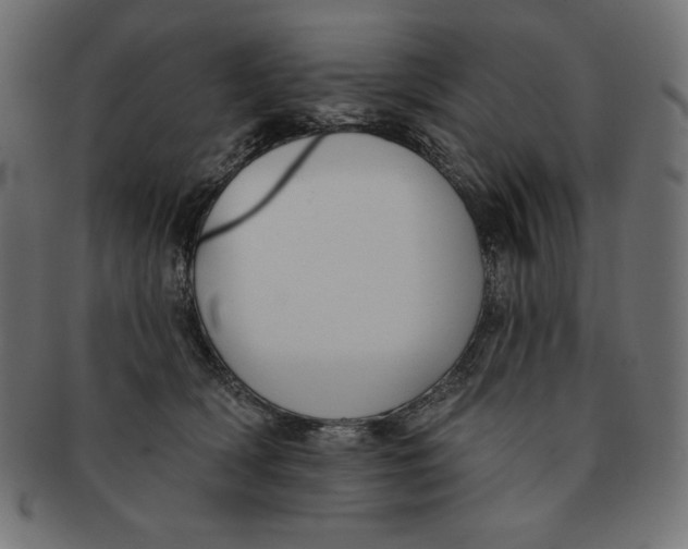 X0000091700418200709210926