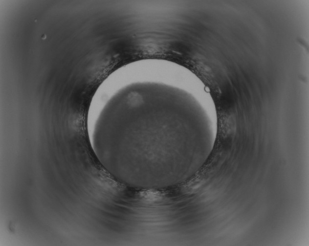 X0000091700419200709210926