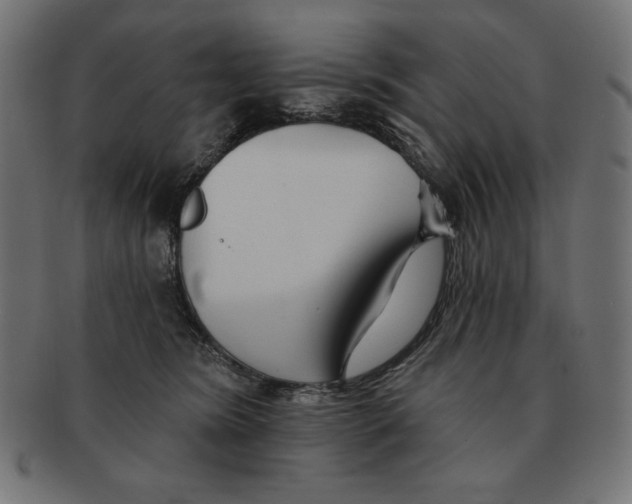 X0000091700420200709210926