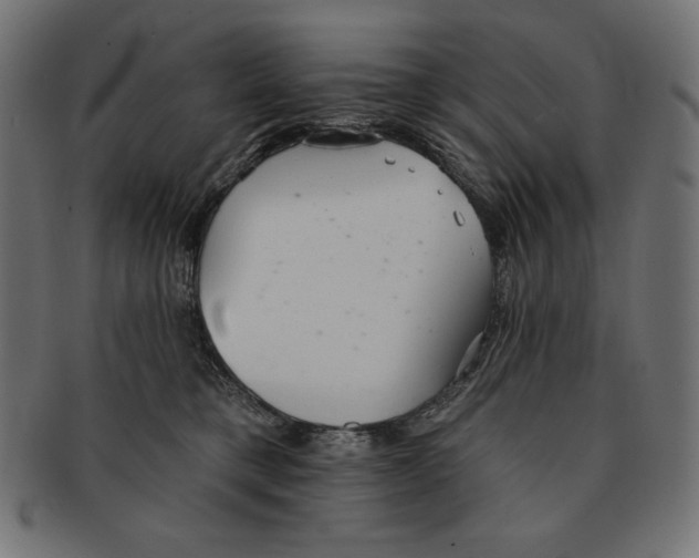 X0000091700421200709210926