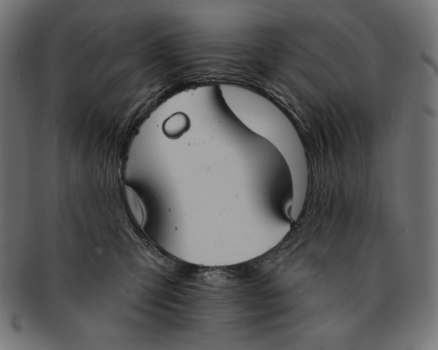 X0000091700423200709210926