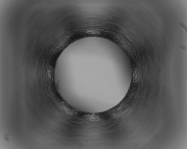 X0000091700424200709210926