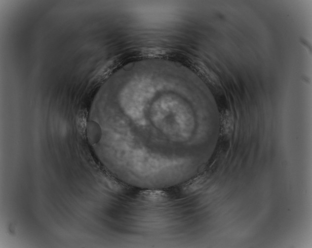 X0000091700427200709210926