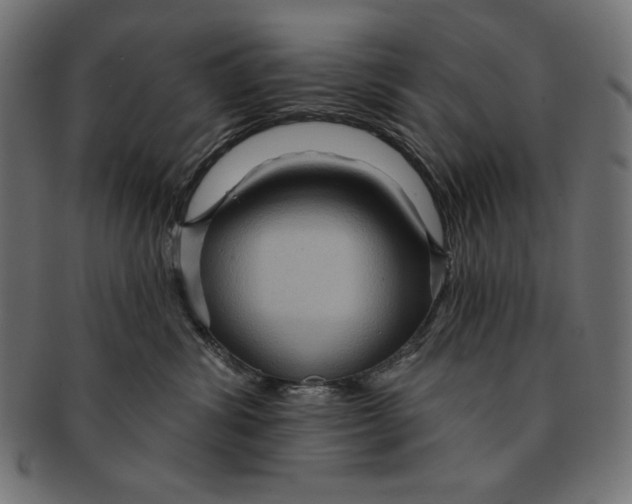 X0000091700428200709210926