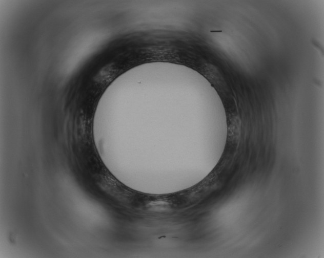 X0000091700430200709210926