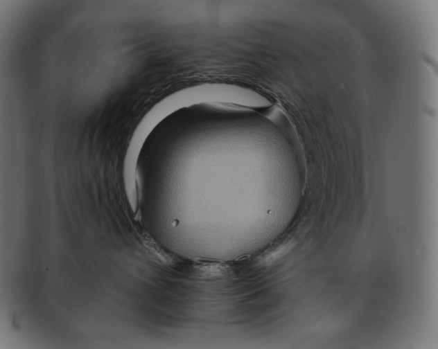 X0000091700432200709210926