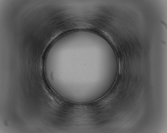 X0000091700435200709210925