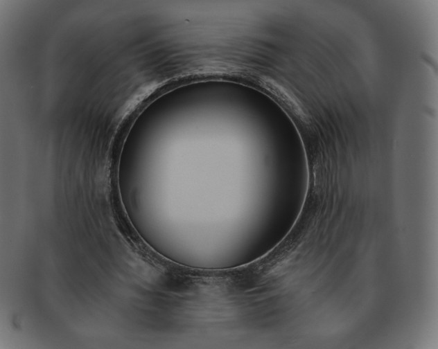 X0000091700436200709210925