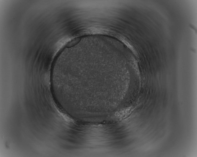 X0000091700438200709210925