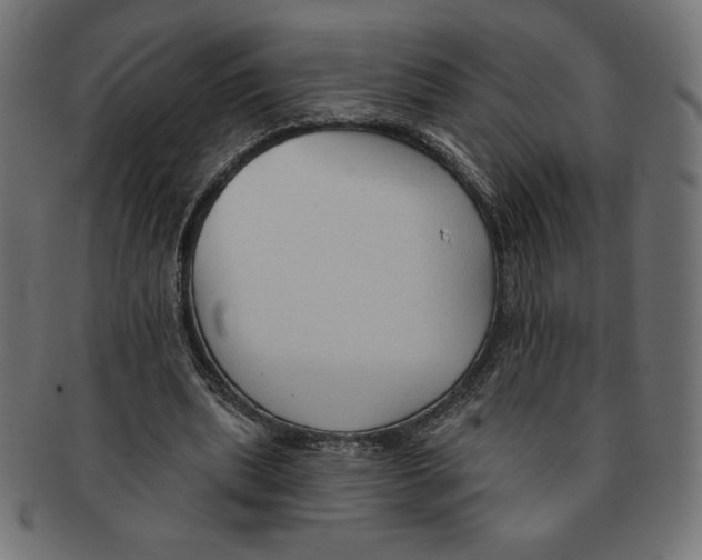 X0000091700439200709210925