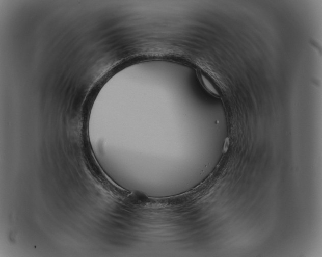 X0000091700440200709210925