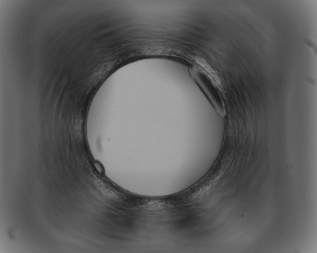 X0000091700441200709210925