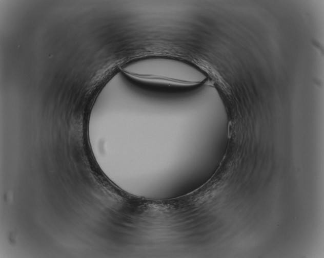 X0000091700442200709210925