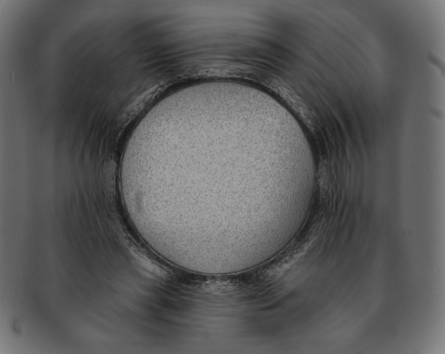 X0000091700445200709210925