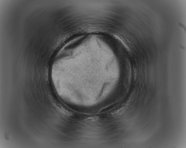 X0000091700447200709210925