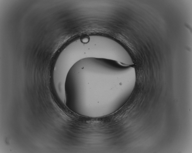 X0000091700448200709210925