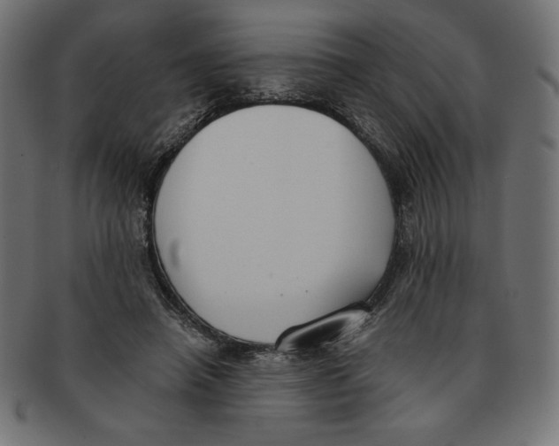 X0000091700450200709210925