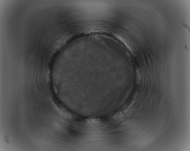 X0000091700451200709210925