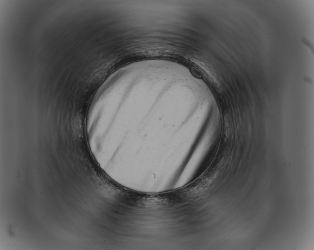 X0000091700453200709210925