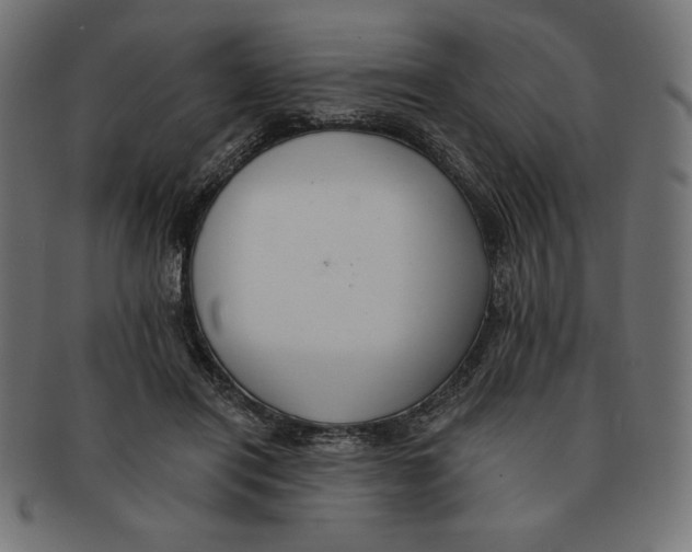 X0000091700454200709210925